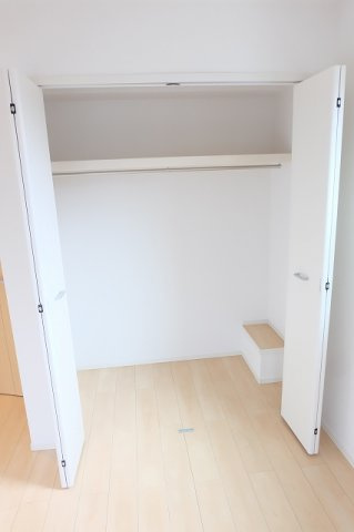 プルメリアの収納