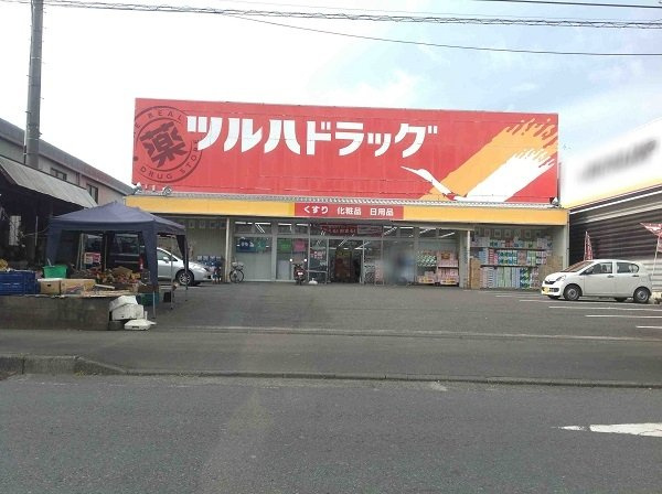 レオパレス七国館の周辺|ドラックストア有