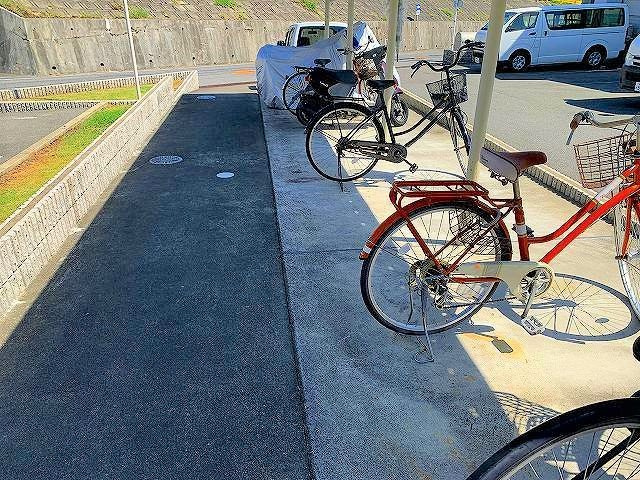 レオネクストライトのその他