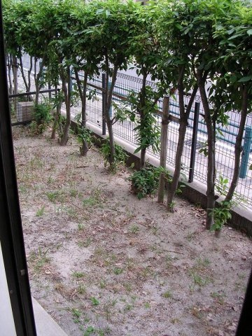メロディハイツ荒木の庭