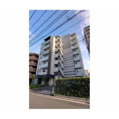 マーシスマルルのその他