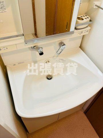 ロイヤルピジョン岩塚の洗面所