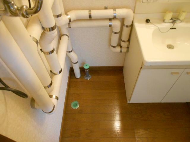マンションエトピリカの洗面所
