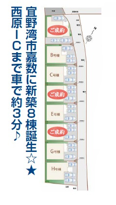 ＋＋宜野湾市嘉数-C号棟（全8棟）の区画図