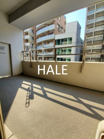 【バルコニー】 | サヴォイテンジンクォーター | 別号室類似
