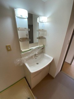 シャムロックコート西岡本の洗面所