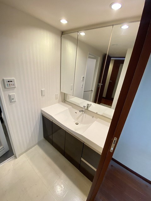 グランオアシス夙川香櫨園の洗面所
