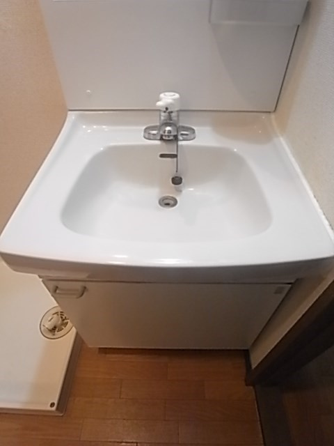 エクレール衣掛の洗面所