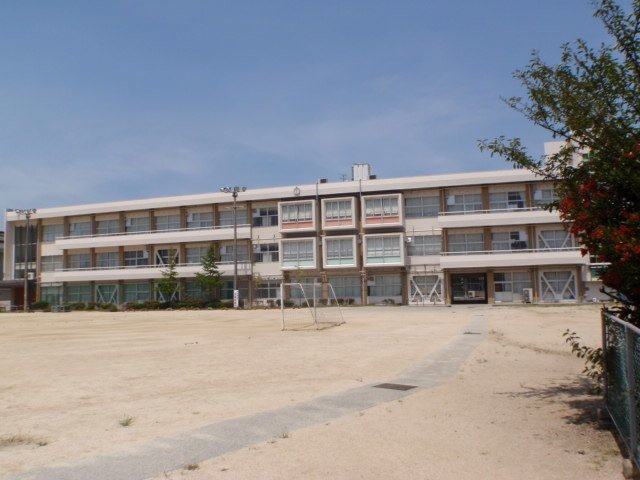アヴニール・レイ　Ａの周辺|丸亀市立城坤小学校まで900m