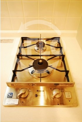 プレサンス難波元町のキッチン|プレサンス難波元町　ガス2口コンロシステムキッチン