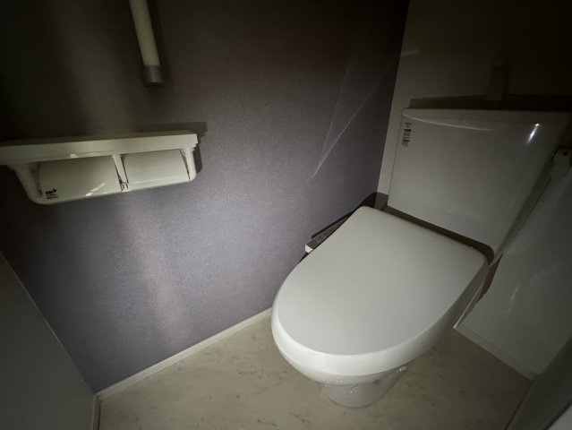 プラシード・Ｍのトイレ|高崎、前橋のお部屋探しはエンドスケープまで！お客様の理想お聞かせ下さい♪
