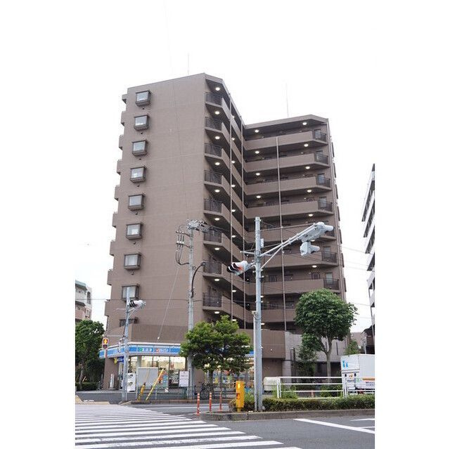 サンフラワー第6