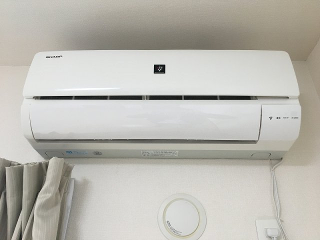 レオネクストヴィーダフォルトナのその他