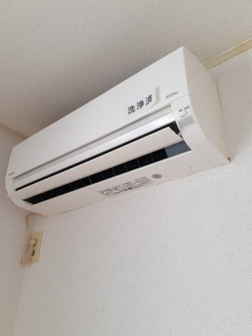 グラティテュードのその他
