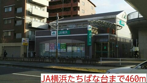 エレガンテ　カーサの周辺|JA横浜たちばな台まで460m