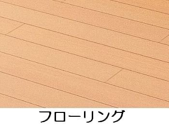 ソーレ・プリムラのその他