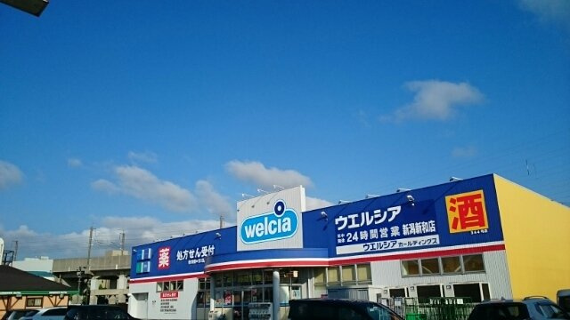 フリージアの周辺|ウエルシア新潟新和店まで780m