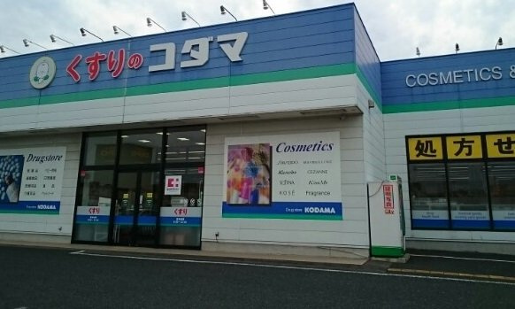 Ｃａｓａ　Ｐｉａｃｅの周辺|クスリのコダマ山田店まで1410m