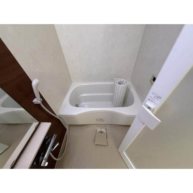 ＶＩＬＬＡ－ＳＨＩＷＡＳＵＤＡの浴室