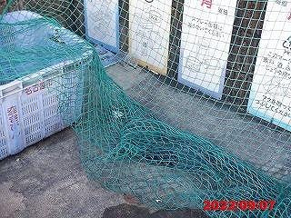 レオパレスＴＡＫＡＯＫＡのその他