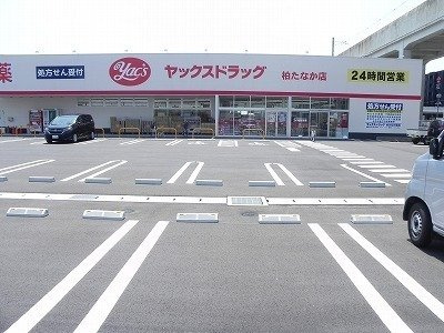 ルクールの周辺|ヤックスドラッグ柏たなか店まで400m