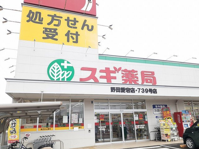 スカイガーデンの周辺|スギ薬局まで628m
