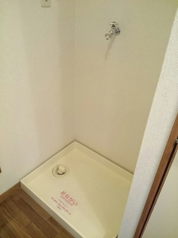 シエヌーのその他