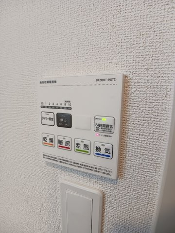 ステラのその他