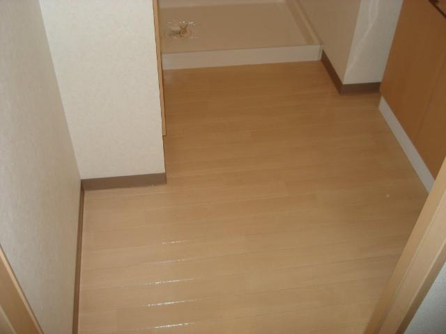 メイプルハイツのその他|脱衣所