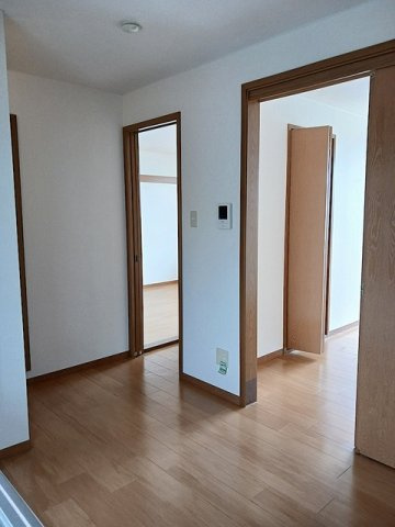 ひまわりのその他