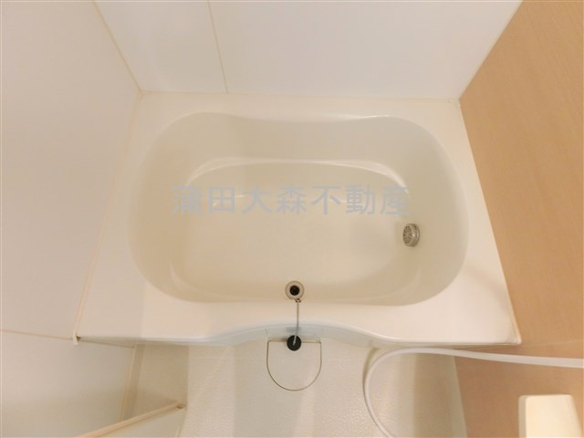 FORTISフォルティス大森の洗面所