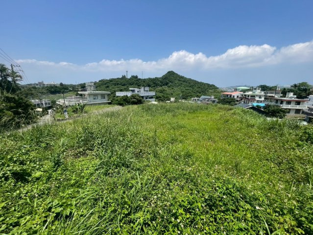 南城市大里字大里の外観