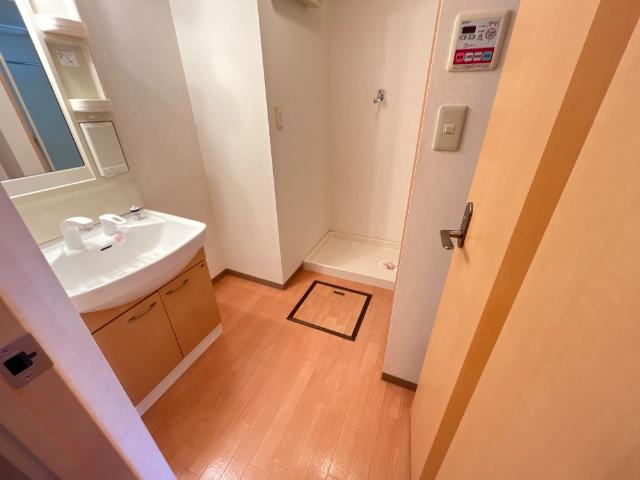 メゾンひばりヶ丘壱番館の洗面所|洗面