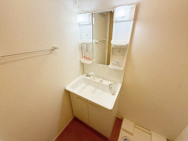 ジュネス原Ⅱ　Ｃの洗面所|明るい洗面所です