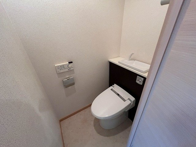 ルイシャトレ鏡のトイレ|トイレです