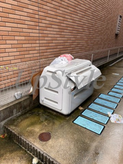 【その他共用部分】 | ノーザンロード新小岩