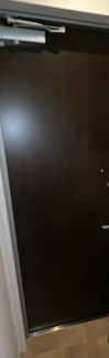 【玄関】 | ジプソフィリア