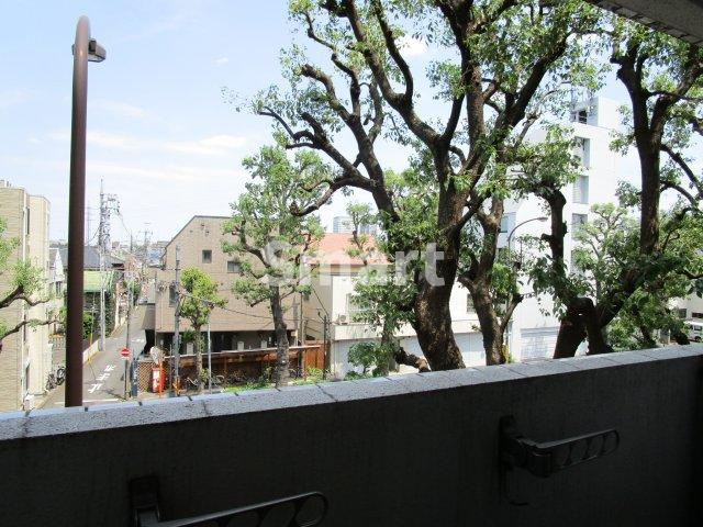 【展望】