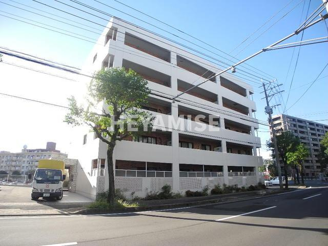 modern palazzo文教