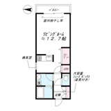 パフィオペディルムの画像