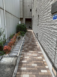 【エントランス】 | シエラハウス
