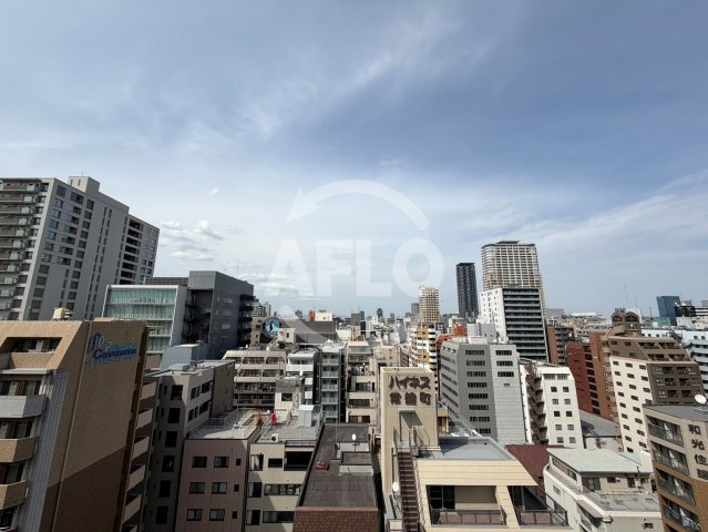 ブランズタワー谷町四丁目　中大江小学校区の展望|ブランズタワー谷町四丁目　眺望