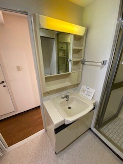 神戸市東灘区御影山手６丁目の賃貸マンションの洗面所