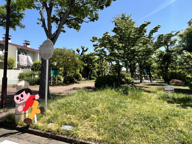 マンション敷地は緑が多く、鳥のさえずりが聞こえる静かで豊かな環境です