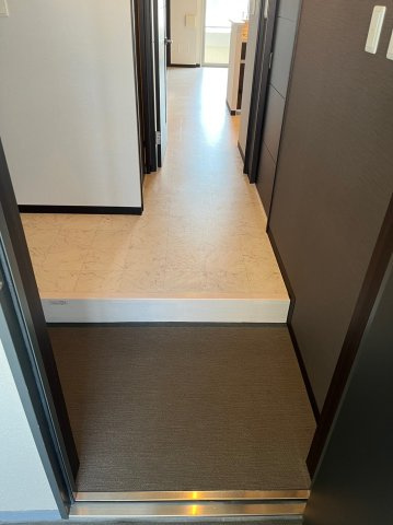 リンパクマンションの玄関