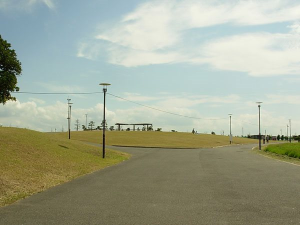 高洲海浜公園はテラス式の海岸が開放され、海辺へ出られる公園。東京湾が見渡せます