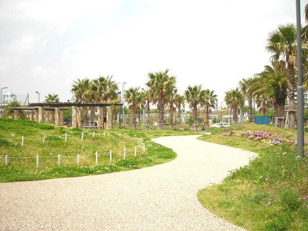小高い丘が広がる『明海の丘公園』。お子様やペットが思い切り走る事のできる広々とした公園。