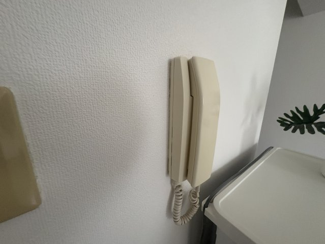 サラダボウルのセキュリティ