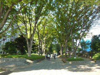 氷川参道（氷川神社参道）まで800ｍ