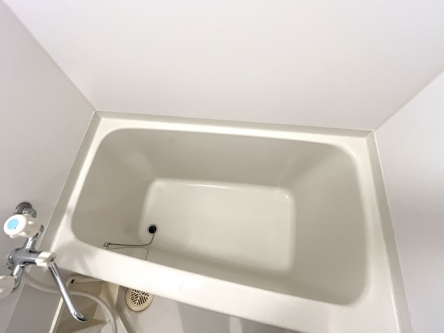 バス